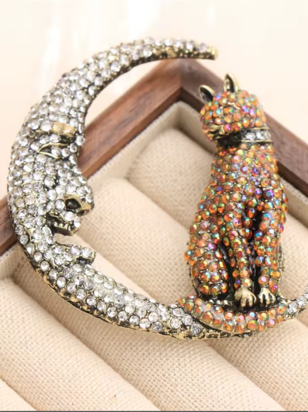 Moon Cat Crystal Brooch